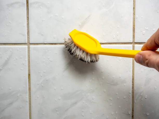 Best Mold Cleaning Services  in Winter Springs, FL