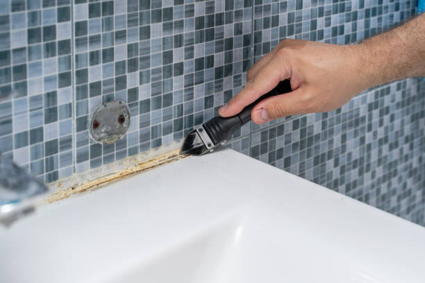 Office Mold Removal Services in Winter Springs, FL
