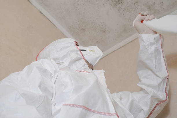 Best Mold Removal Process  in Winter Springs, FL